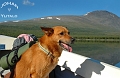 Kungsleden Kebnekaise-vakkotavare (39)